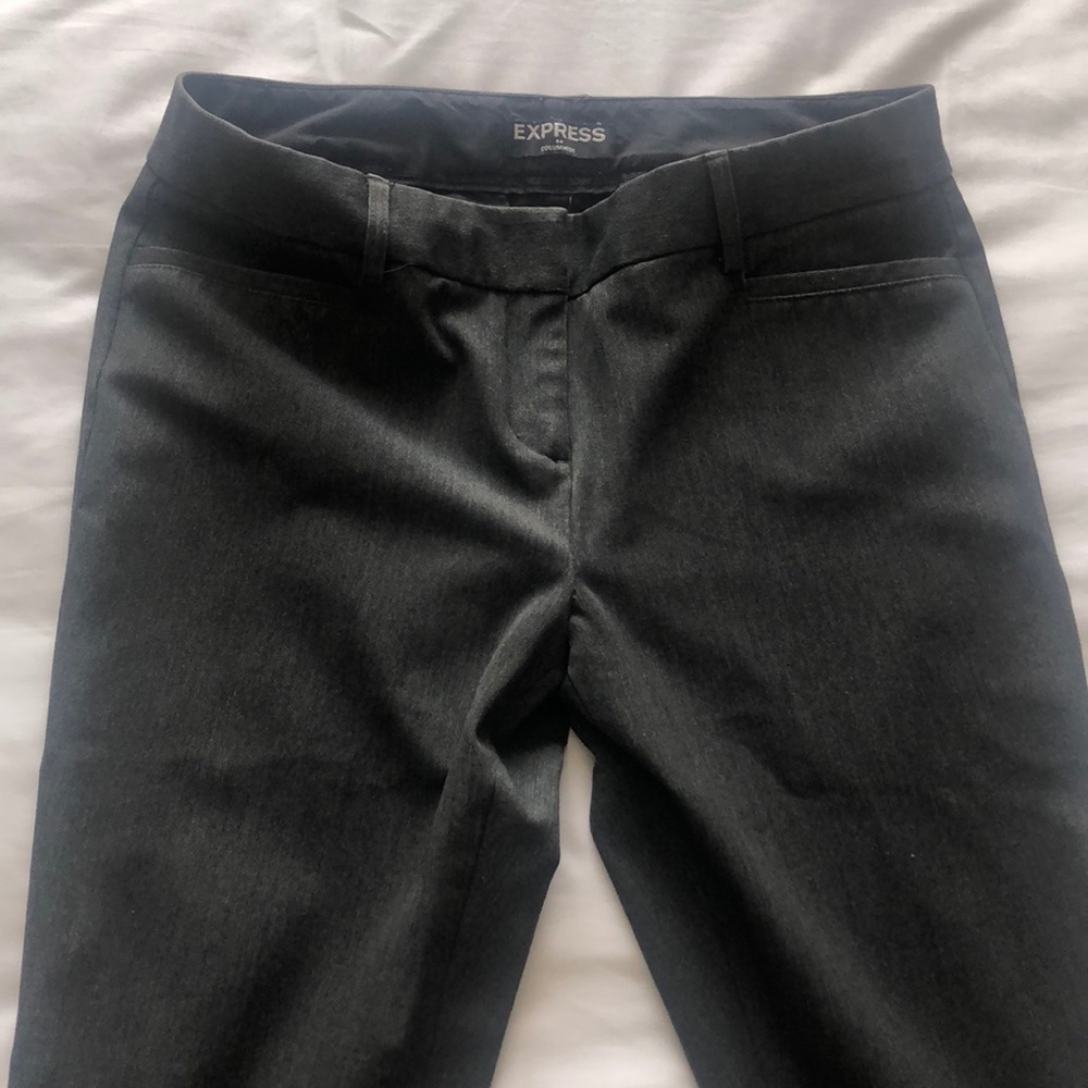 Express Slacks, Columnist Pant